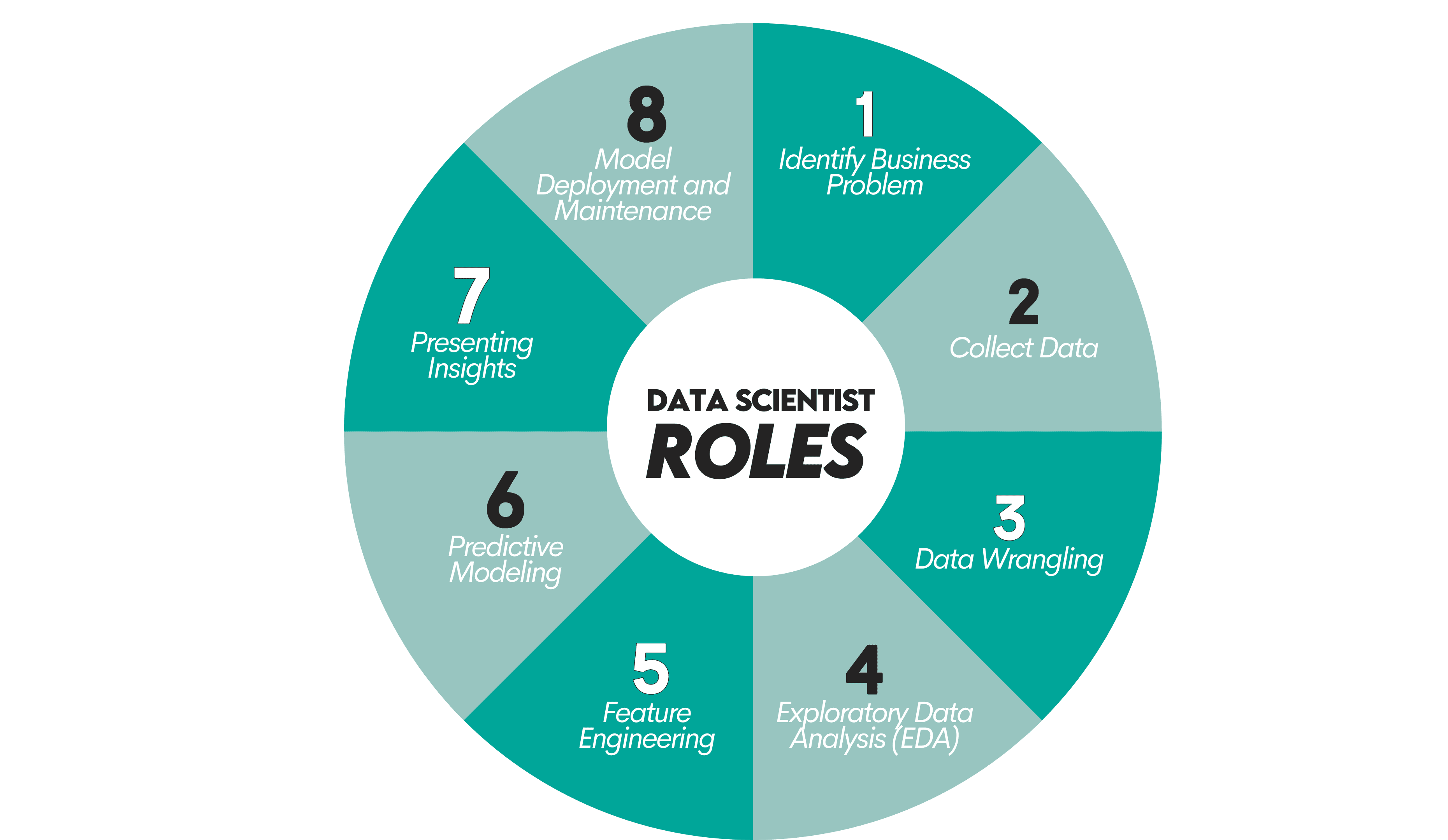 Role and Responsibilities of a Data Scientist at Amazon
