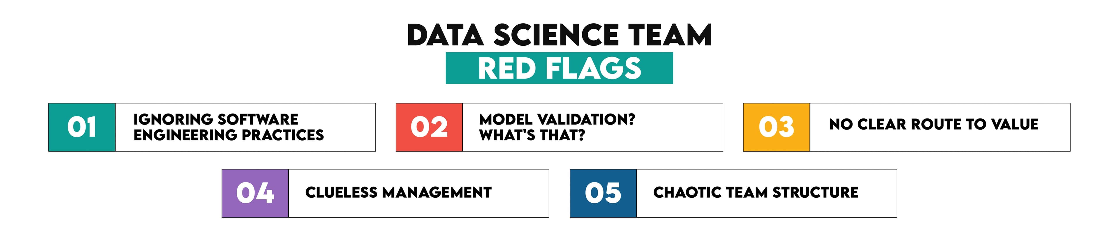 Data Science Team Red Flags
