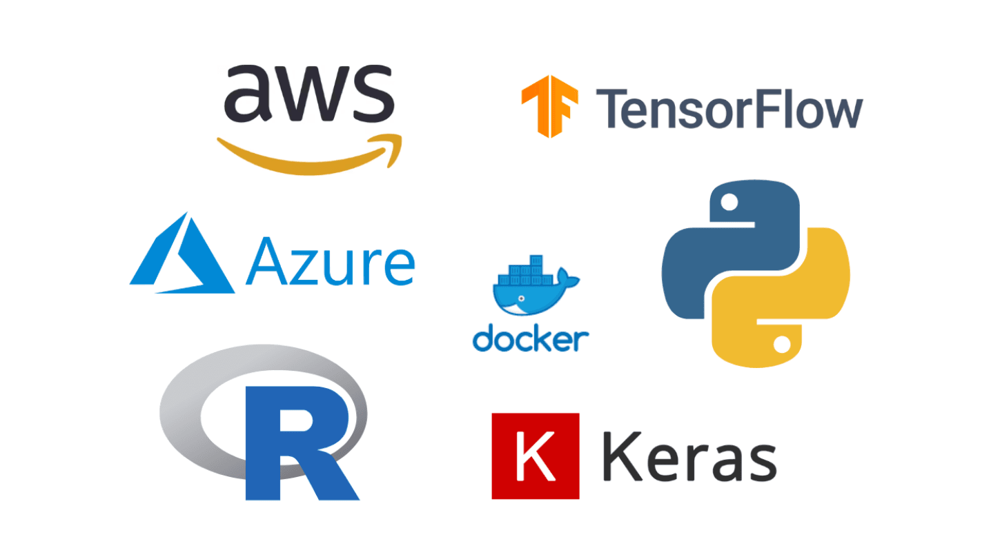 What does a data scientist do