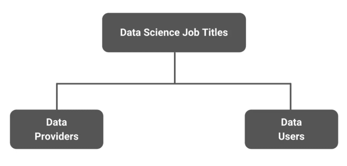 What is data science