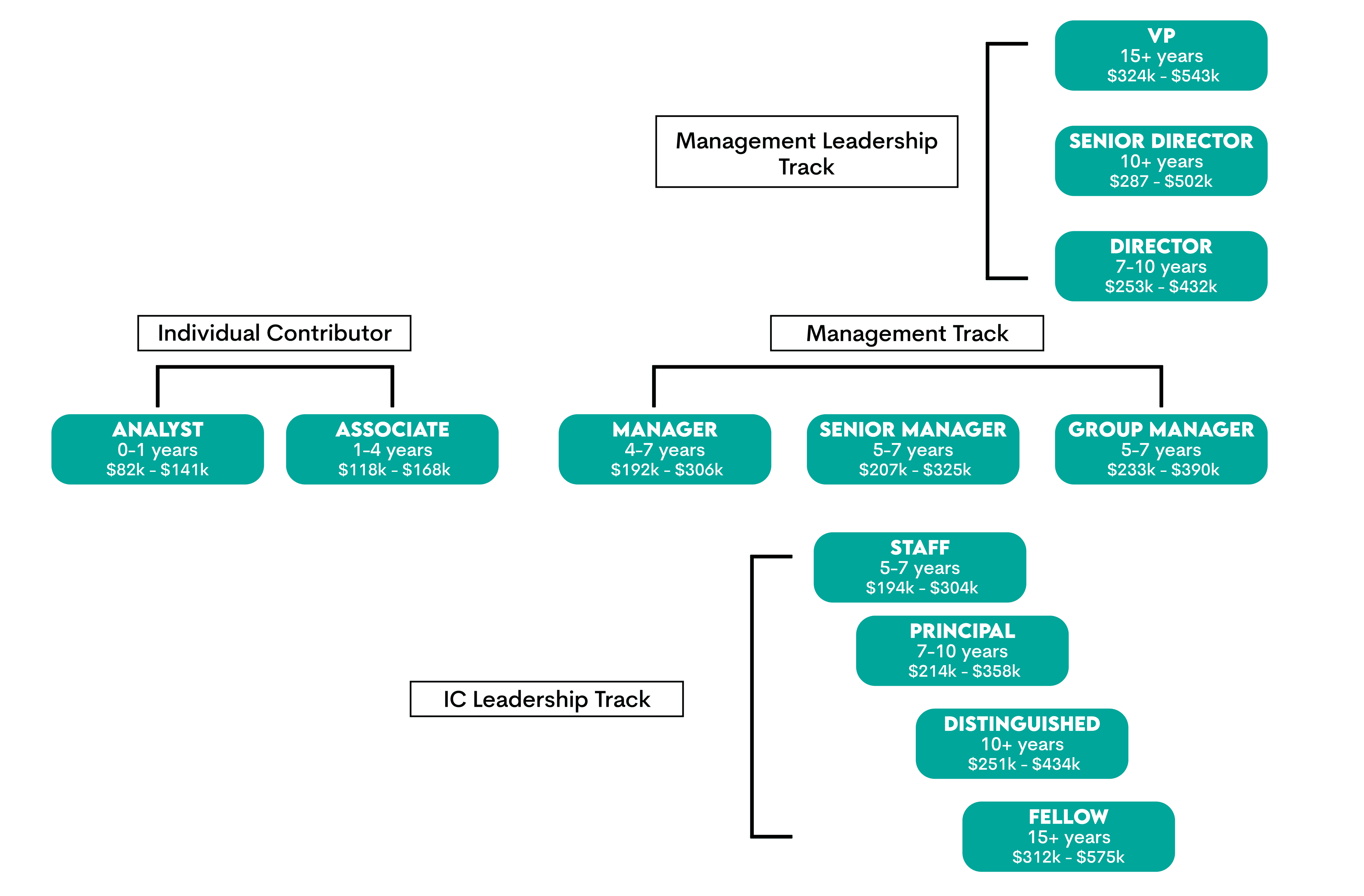 Data Scientist Career Path