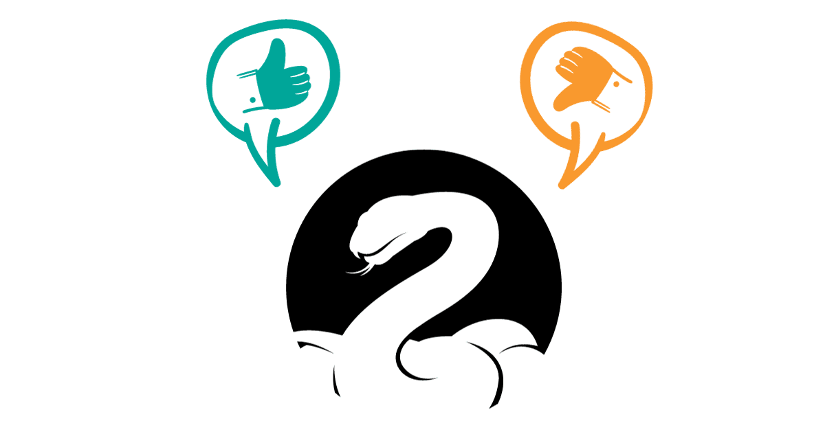 Common Pitfalls and Best Practices for Python Property Decorator