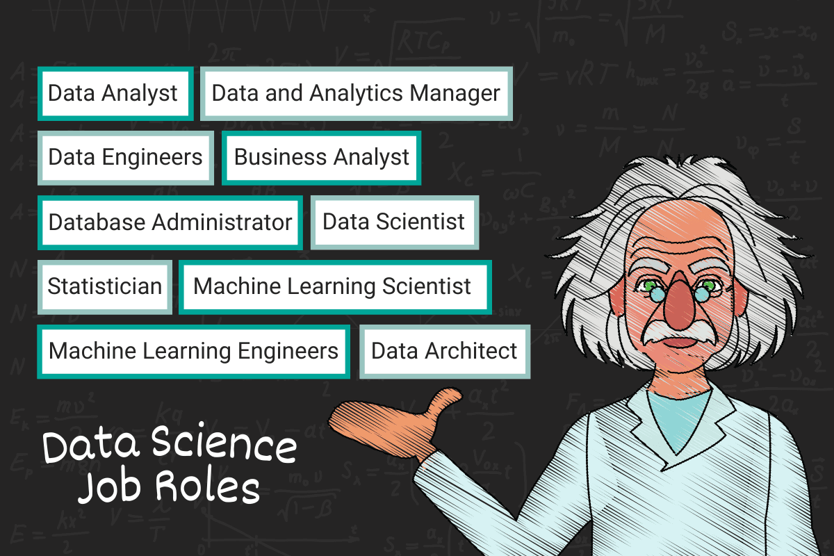 Types of Data Science Job Roles You Can Get