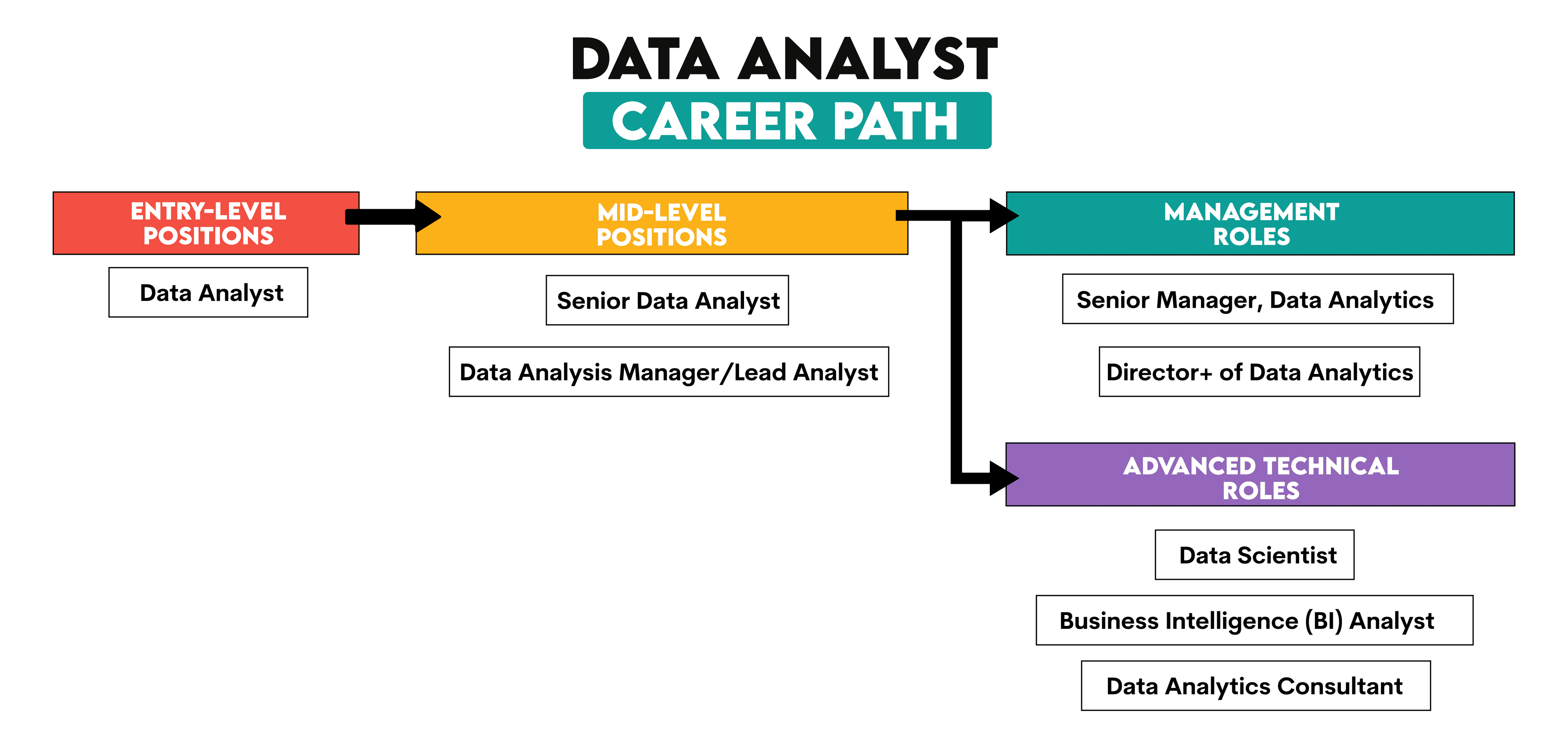 Career Path and Progression