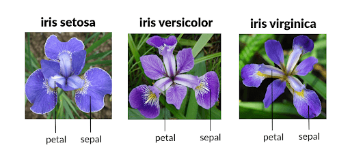 About the dataset of Classification Algorithm in Machine Learning